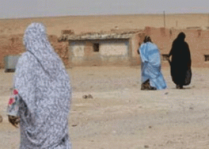 Sáhara Occidental: saharauis de Tinduf  víctimas de las negociaciones estancadas